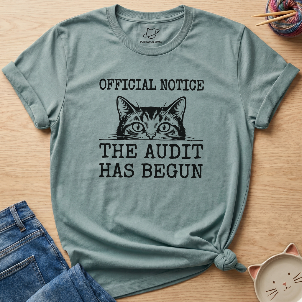 The Audit Has Begun T-Shirt