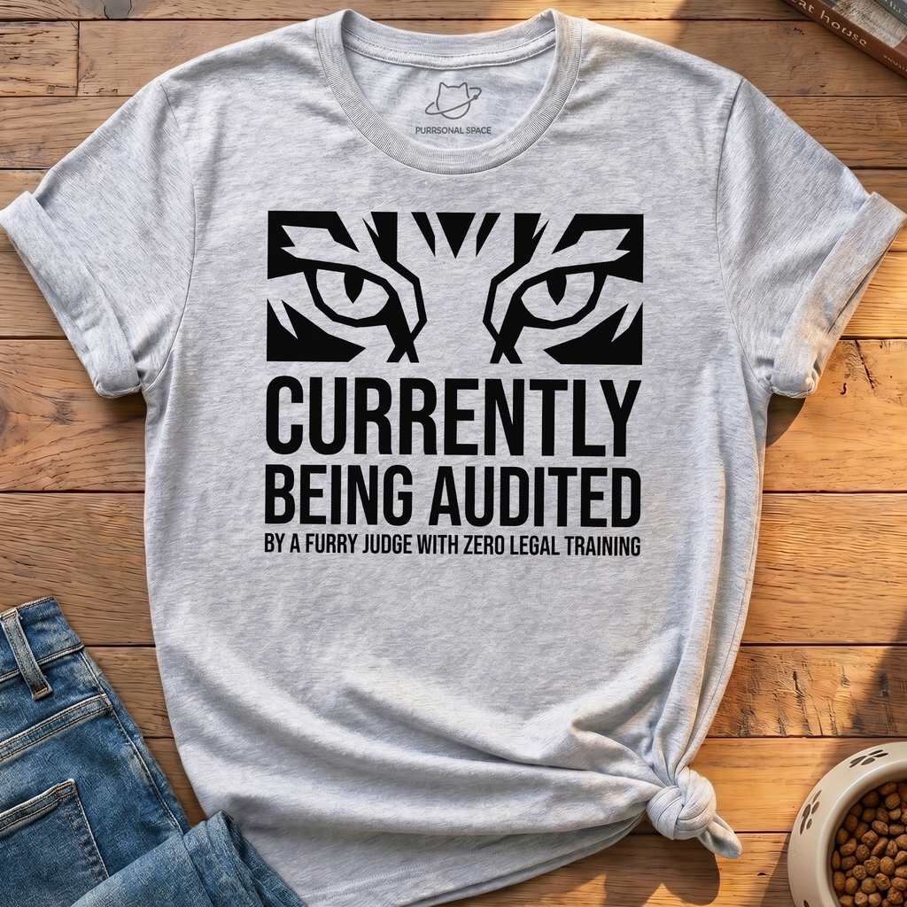 Currently Being Audited T-Shirt