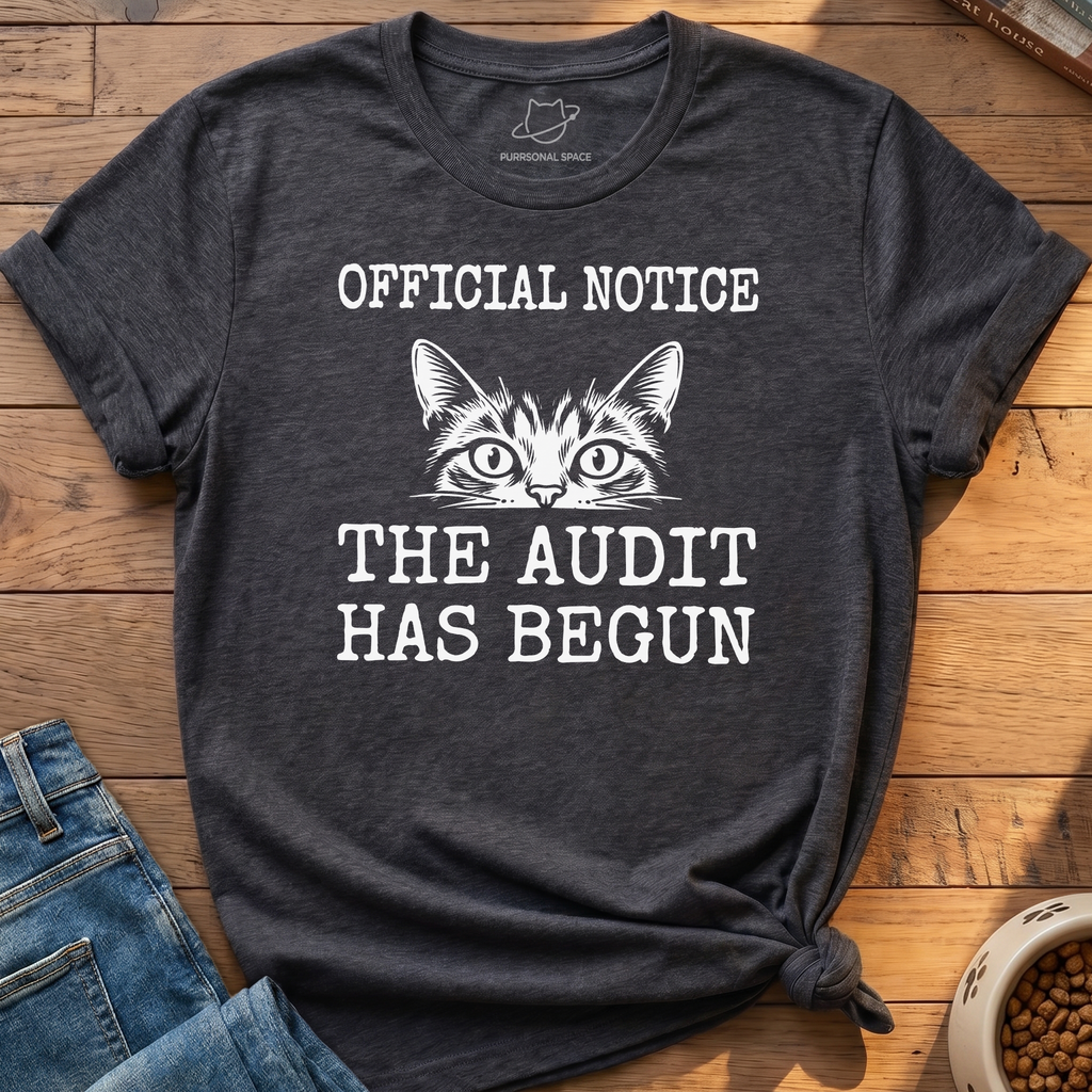 The Audit Has Begun T-Shirt