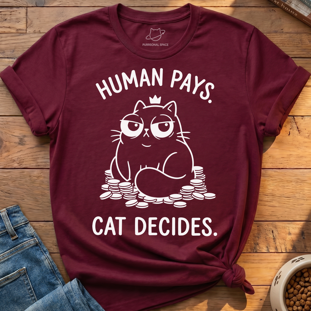 Human Pays Cat Decides T-Shirt