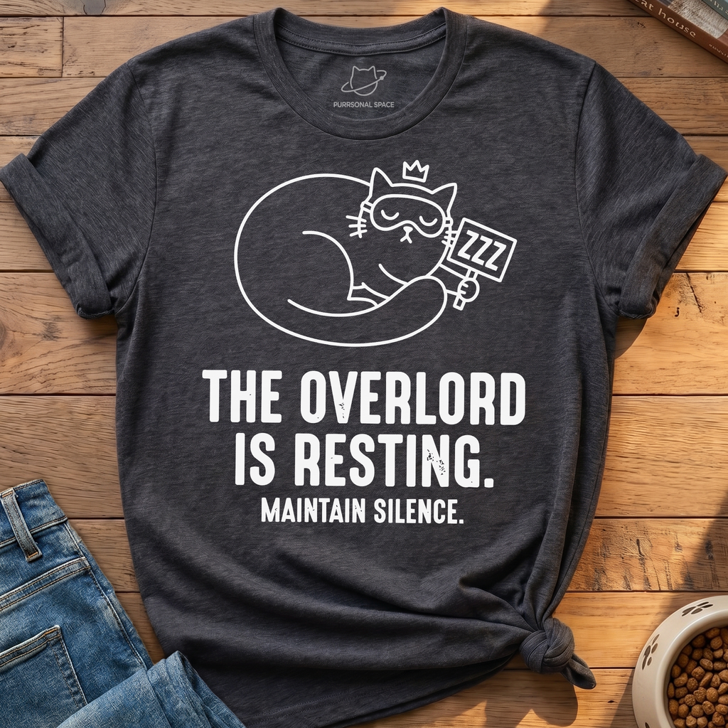 Overlord Is Resting T-Shirt