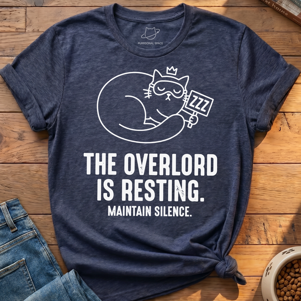 Overlord Is Resting T-Shirt